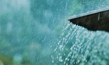 Ingenious Rain Catchment System For Your Homestead