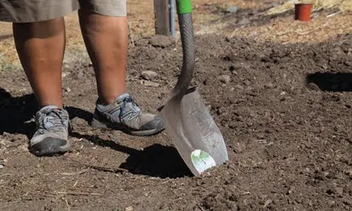 stop doing this to your soil