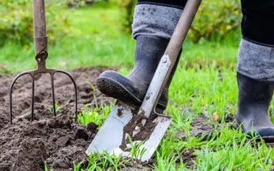 Stop Doing This To Your Soil Right Now