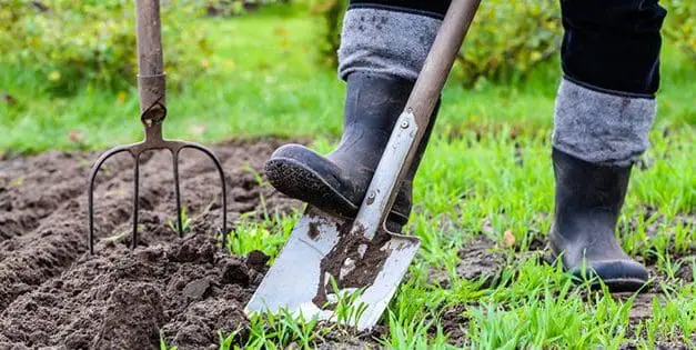 Stop Doing This To Your Soil Right Now