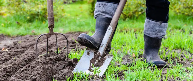 Stop Doing This To Your Soil Right Now