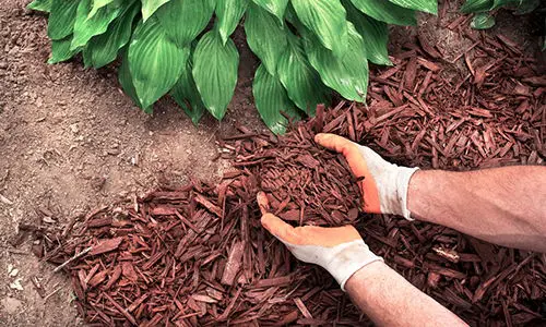 stop doing this to your soil