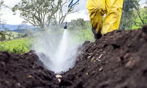 stop doing this to your soil