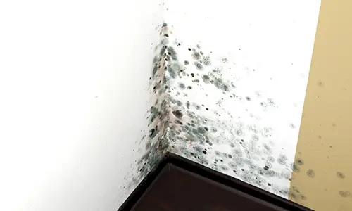 common winter mistakes