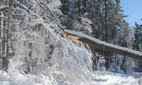 common winter mistakes