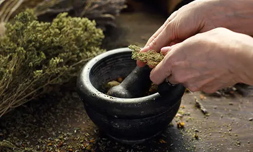 extra homestead income