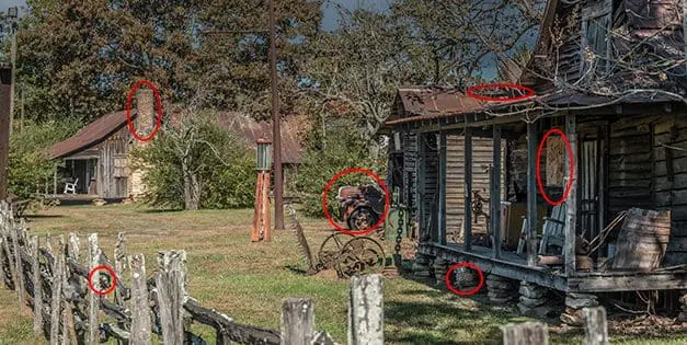 Homesteading To Do’s: November