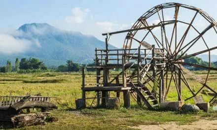 7 Homestead Projects That Turn You Into A Self-Sufficient Homesteader