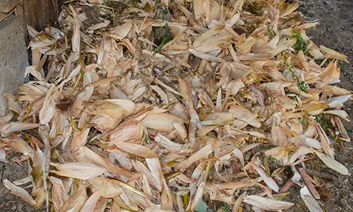 toilet paper substitutes