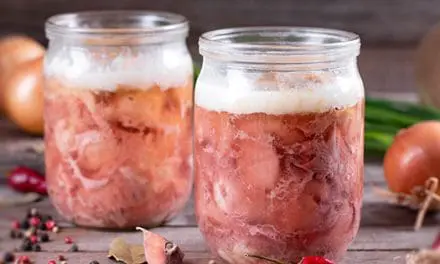 What Is the Best Canned Meat?