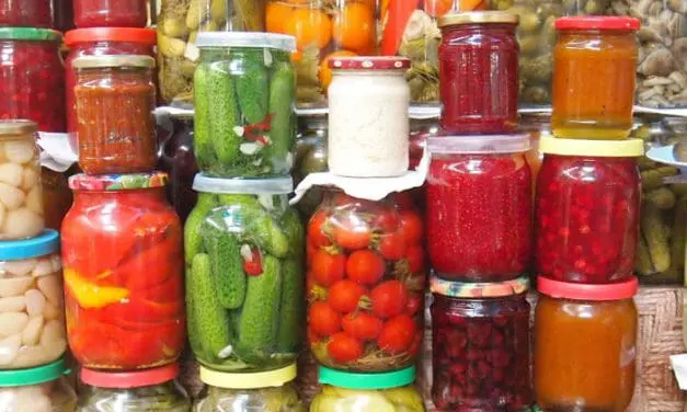 Fermented Foods You Should Eat This Winter
