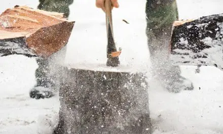 What Keeps Me Busy In My Homestead During Winter