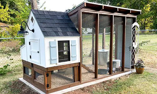 Important things I wish I knew before I started homesteading