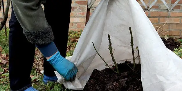 How To Prepare Your Spring Garden Starting This Winter