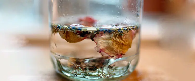 Make These 8 Household Items Instead Of Buying Them