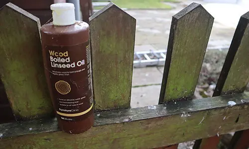 things to do in your garden this winter