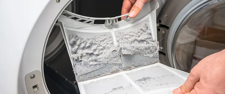 7 Unexpected Things You Can Turn Into Compost