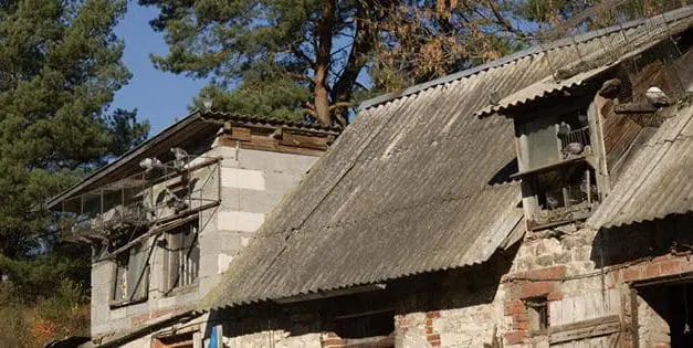 The Untold Truth About Renovating An Old Farm