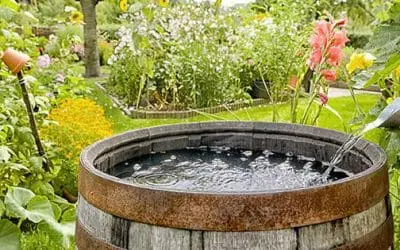 100-Year-Old Way To Filter Rainwater In A Barrel