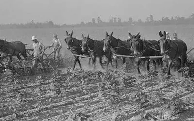 Depression-Era Secrets You’ll Need Soon