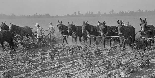 Depression-Era Secrets You’ll Need Soon