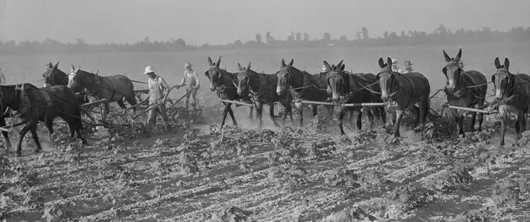 Depression-Era Secrets You’ll Need Soon