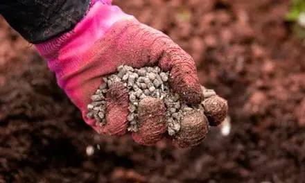 What Happens If You Bury These In Your Garden