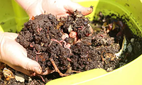 things to bury in your garden