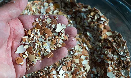 things to bury in your garden