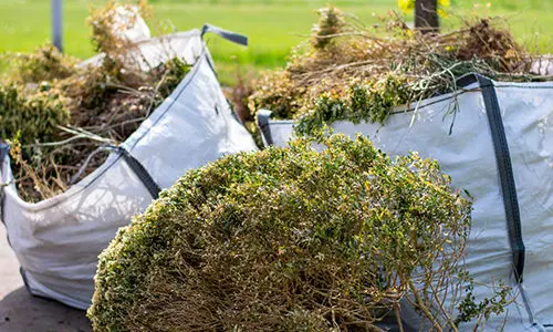 things to bury in your garden