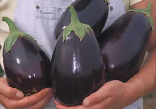 10 giant edible crops you can grow