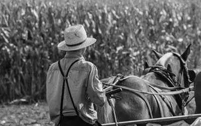 Amish Lessons That Prepare You For Living Off The Grid