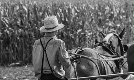 Amish Lessons That Prepare You For Living Off The Grid