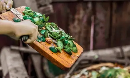 7 Things You Should Never Compost: You’ll Regret It Later