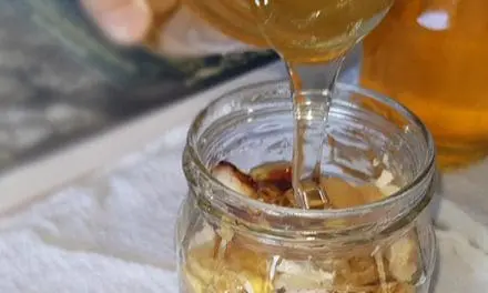 How To Preserve Foods In Honey