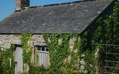 This Is The Best Camouflage For Your Off The Grid House