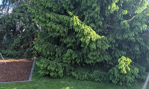 How To Make An Invisible Shelter