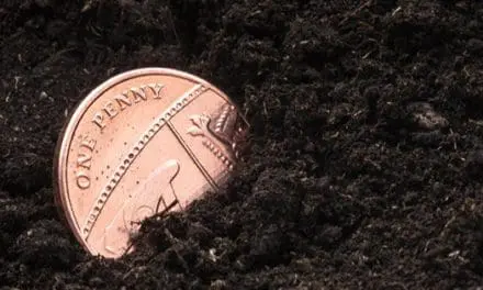 What Happens If You Bury A Penny Next To Your Plants