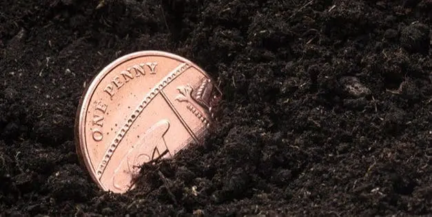 What Happens If You Bury A Penny Next To Your Plants