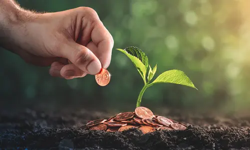 adding pennies to your plants