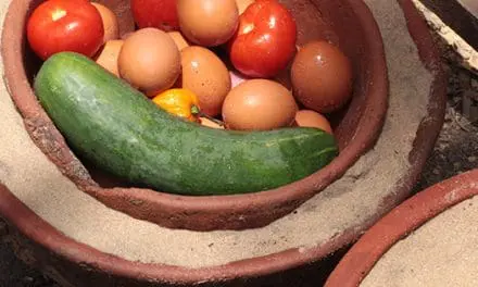 DIY Electricity Free Fridge