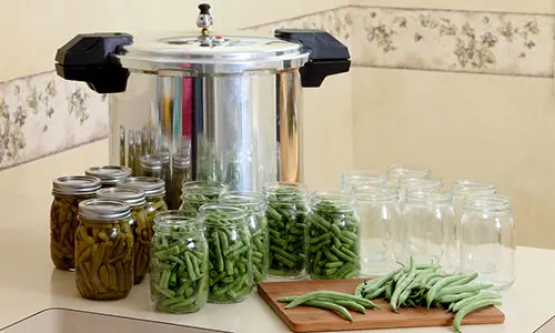 Why You Should Dry Your Food Instead Of Canning It - canning pveggies