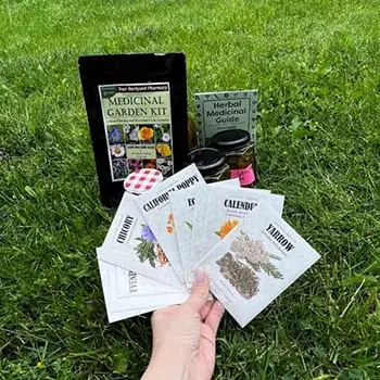 seeds from the medicinal garden kit