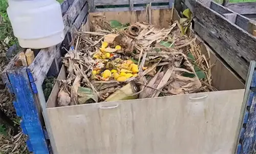 never compost again