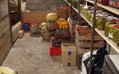 Root Cellar Mistakes You Need To Avoid At All Costs