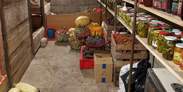Root Cellar Mistakes You Need To Avoid At All Costs