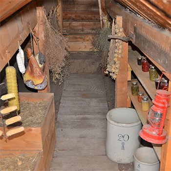 Root Cellar Mistakes You Need To Avoid At All Costs