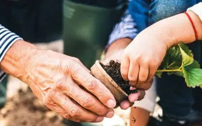 They Should Teach This In Schools