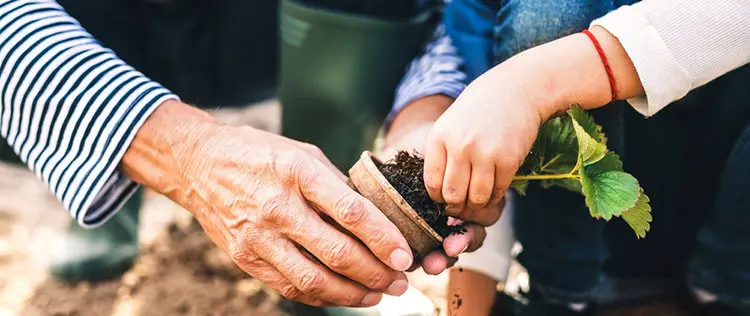 They Should Teach This In Schools