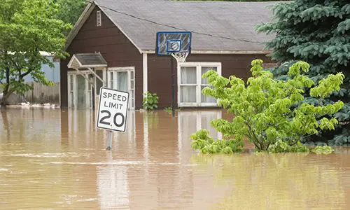 they should teach this in schools